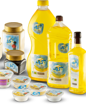 محصولات کنجدی شهرزاد