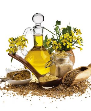 محصولات کنجدی ایلانا